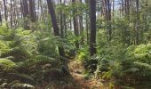 Tocht Stappen Jemeppe-sur-Sambre - Bois des masures, longée de la Petite-Sambre - Photo 6