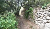 Trail Walking Duilhac-sous-Peyrepertuse - boucle moulin de ribaute - duilhac - gorge du verdouble  - Photo 14