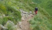 Trail Walking Lavigerie - 2024 RA Cantal Puy Mary - Photo 13