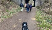 Trail Walking Morlanwelz - Morlanwez - Le Bois de l’Olive  - Photo 3