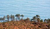 Trail Walking Saint-Raphaël - SityTrail - Pic de Cap Roux et la Grotte de Saint Baume - Photo 3