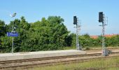 Percorso A piedi Gemeinde Bad Fischau-Brunn - Wöllersdorf - Waldwirtshaus Kürassier - Eisensteinhöhle - Brunn - Photo 10