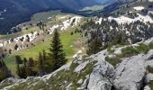 Tocht Stappen La Roche-sur-Foron - GLIERES / BORNES: LE CHENET - SUR COU - COL DU FREU - ROCHE PARNAL - COL DU CABLE - BALME - Photo 7