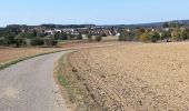 Tour Zu Fuß Buchen (Odenwald) - Rundwanderweg Waldhausen 4 Ortsrunde - Photo 8