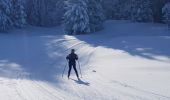 Trail Cross-country skiing Mijoux - Les louvatieres en coupant par le passage des dames - Photo 7