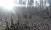 Tour Wandern Brou-sur-Chantereine - brou 18-12 - Photo 14