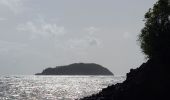 Tour Wandern La Trinité - cosmy- anse Richer-anse Lahoussaye-Etoile- anse Azerot-Cosmy - Photo 19