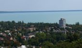 Tocht Te voet Balatonalmádi - S▲ (Felsőörs-Balatonalmádi út - Csere-hegy, Szabadság-kilátó) - Photo 4