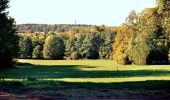 Tour Zu Fuß Sangerhausen - Von Wettelrode zum Kalmusgrund - Photo 4