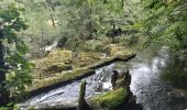 Trail Walking Cros - Le pont du diable, en p1rtant du gîte aux milles fleurs - Photo 14