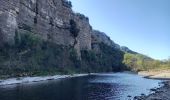 Randonnée Marche Berrias-et-Casteljau - Gorges du Chassezac - Photo 4