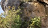 Excursión Senderismo Le Rozier - les corniches du Méjean (la Jonte) - Photo 20