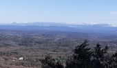 Trail Walking Rougiers - Rougiers - Photo 1