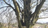 Tour Wandern Châteauneuf-sur-Isère - le chemin des carriers à Châteauneuf-sur-Isère - Photo 10