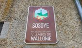 Trail Walking Onhaye - Balade de Falaën à Sosoye - Photo 18