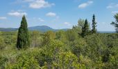 Tour Wandern Saint-Clément-de-Rivière - St Clément de Rivière, la source du Lez  - Photo 1