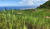 Tocht Stappen Saint-Pierre - Piton Mont Vert 20190217 SH - Photo 7