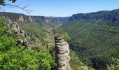 Trail Walking Le Rozier - corniche du Tarn et de la Jonte - Photo 4