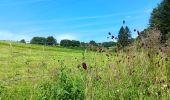 Tocht Stappen Bütgenbach - butgenbach tour du lac  - Photo 9