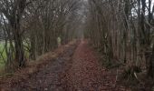 Tocht Stappen Stavelot - stavelot . somagne . henoumont . la bergerie . stavelot  - Photo 14