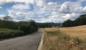 Randonnée Marche Anhée - Rando 17.08.2020  - Photo 1