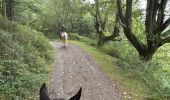 Trail Horseback riding Baztan - Elizondo - Urdax - Photo 9