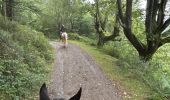 Tocht Paardrijden Baztan - Elizondo - Urdax - Photo 9