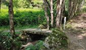 Tocht Stappen Ax-les-Thermes - Sorgeat et Ignaux au départ d'Ax les thermes - Photo 4