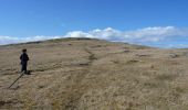 Randonnée A pied Unknown - Berneray Circular Walk - Photo 1