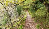 Tour Wandern Weismes - Signal de Botrange, Ovifat & Château de Reinhardstein - Photo 3