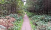Trail Walking Seraing - ptit tour par les ptits chmins du bois de sraing - Photo 3