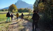 Randonnée Marche Saint-Nizier-du-Moucherotte - Plateau Charvet (petite boucle) - Photo 6