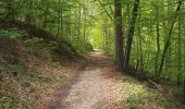 Trail Walking Saint-Privat-d'Allier - [02] Compostelle : de Saint-Privat-d'Allier à Saugues - Photo 15