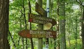 Trail On foot Gladenbach - [G12] - Rundweg Gladenbach - Ruine Blankenstein - Kehlnbach - Römershausen - Rachelshausen - Runzhausen - Schutzhütte Kehlnbach - Gladenbach - Photo 2