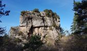 Excursión Senderismo Saint-Étienne-de-Gourgas - Forêt de Parlatges - Roc de l'Eglise - Photo 14