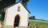 Tocht Stappen Aarlen - Arlon Mesa 250624 - Photo 8