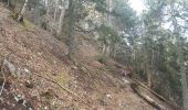 Randonnée Marche Tréminis - Treminis :  Montagne de Paille, col de la Croix. - Photo 15