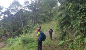 Excursión Senderismo Le Morne-Vert - Montjoly - Les pitons du Carbet - Photo 14