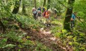 Trail Walking Murbach - Rando du 01/08/2024 - Photo 2