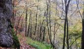 Tour Zu Fuß Bad Urach - Innere Zugangslinie - Photo 6