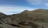 Tour Wandern Rougon - Le Mourre du Chanier depuis Rougon - Photo 1