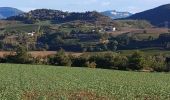 Trail Walking Piégros-la-Clastre - Piegros la Clastre - Photo 6