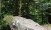 Randonnée Marche Vexaincourt - Vosges - Vexaincourt - Lac de la Maix- sentier des myrtilles  - Photo 11