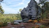 Trail Walking Fontainebleau - Sentier Denecourt 7 - Photo 17