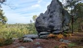 Tour Wandern Fontainebleau - Sentier Denecourt 7 - Photo 17