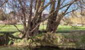 Tocht Stappen Hannuit - La promenade de la Mouhagne  - Photo 14