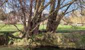 Trail Walking Hannut - La promenade de la Mouhagne  - Photo 14