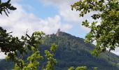 Tour Wandern Kestenholz - Le Hahnenberg et les balcons de Sélestat - Photo 12