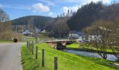 Trail Walking Burg-Reuland - Burg Reuland 180423 - Photo 14