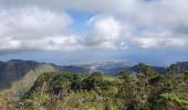 Tour Wandern La Possession - Dos d'Ane - Roche vert bouteille  - Cap noir - Photo 12